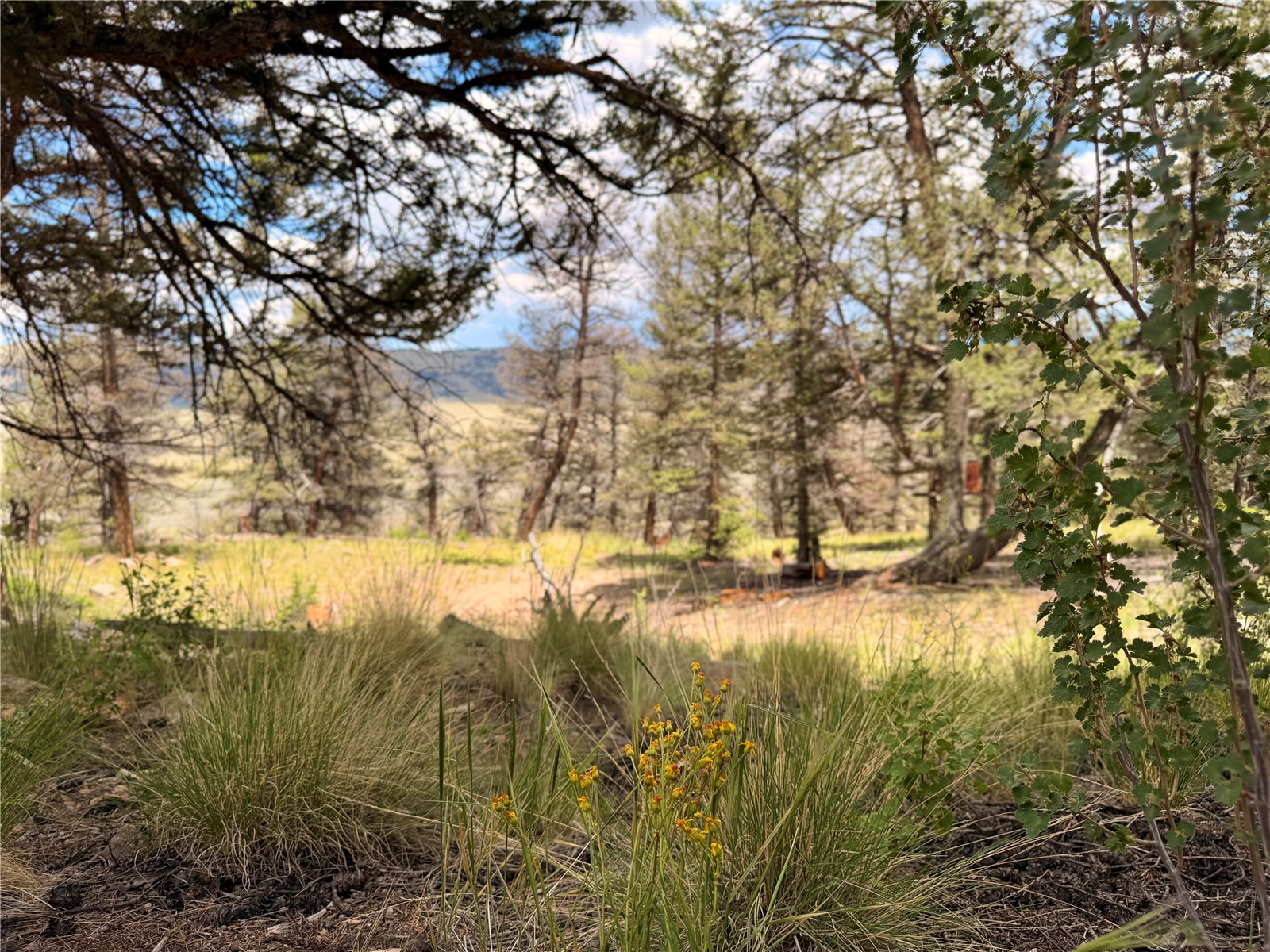 1348 Middle Fork Vista Property Photo 2