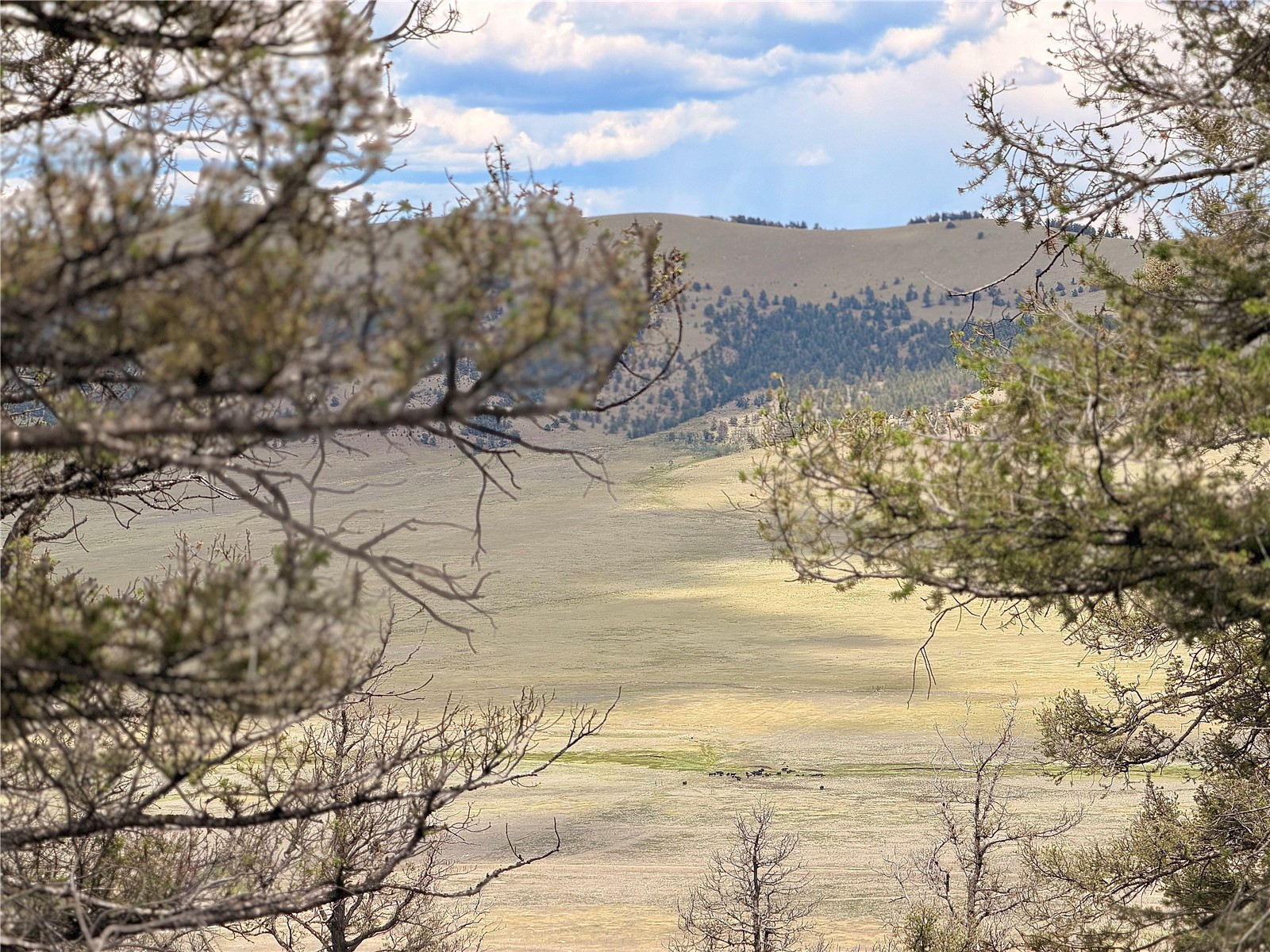 1348 Middle Fork Vista Property Photo 3