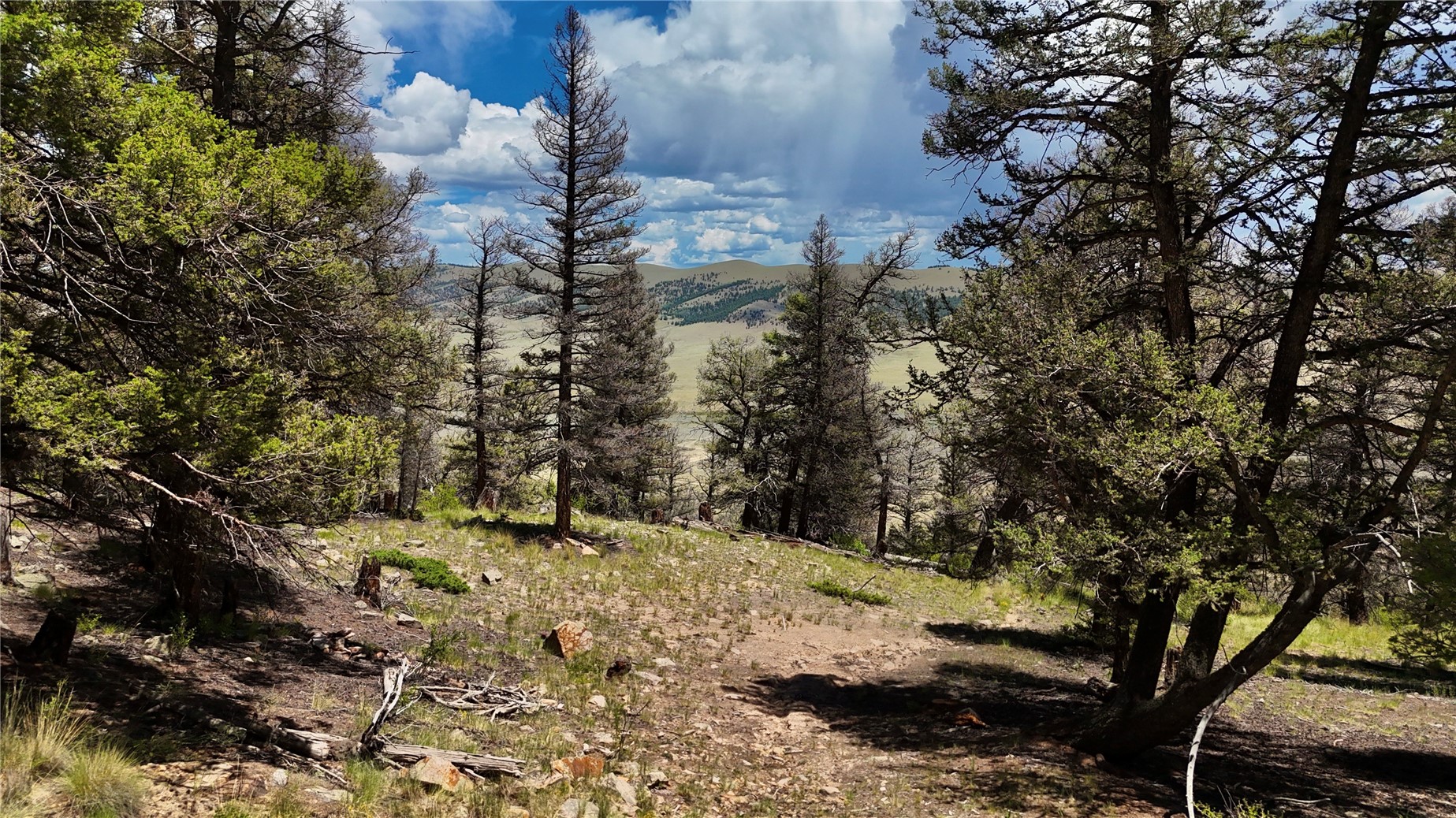 1348 Middle Fork Vista Property Photo 6