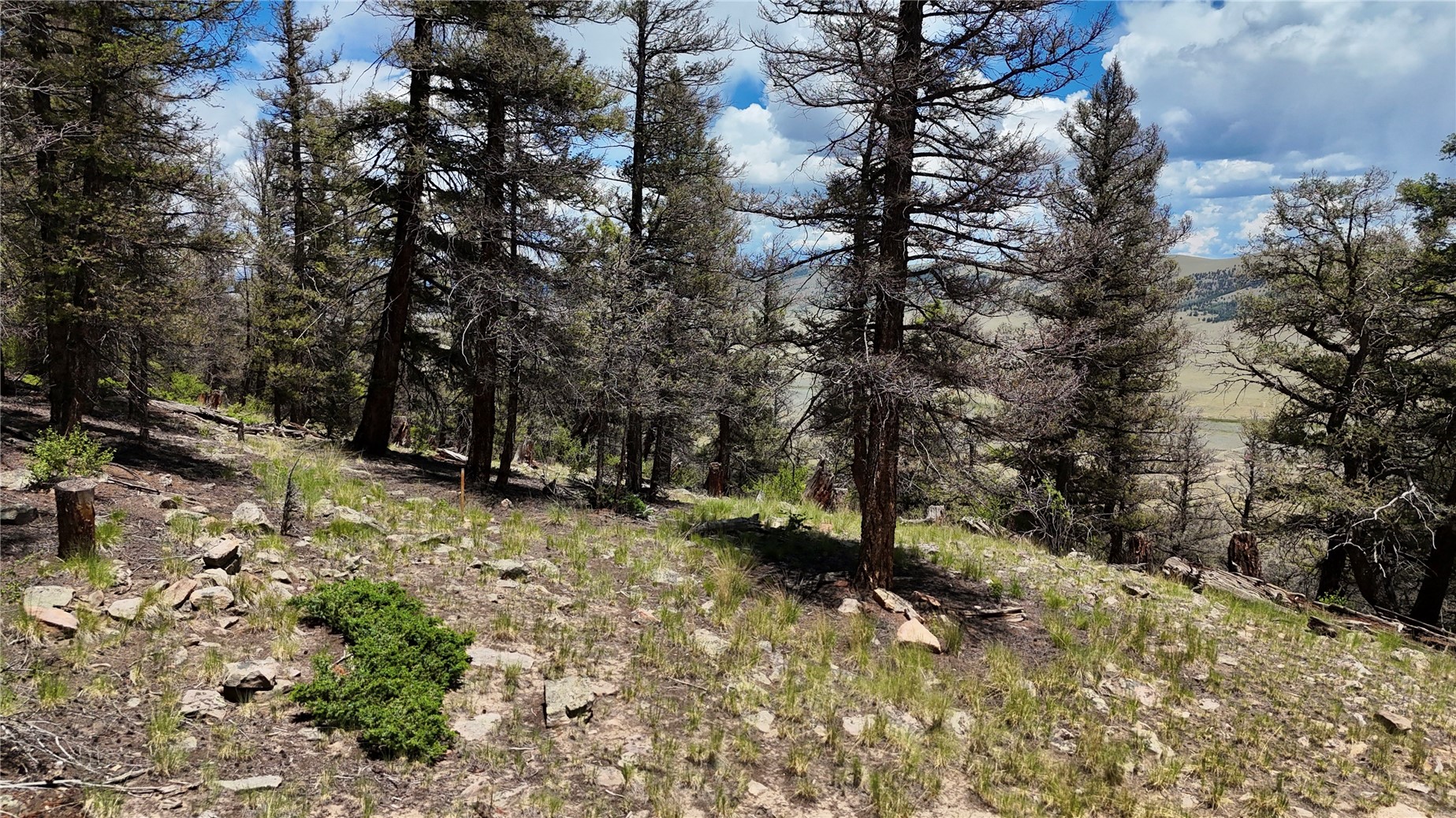 1348 Middle Fork Vista Property Photo 7