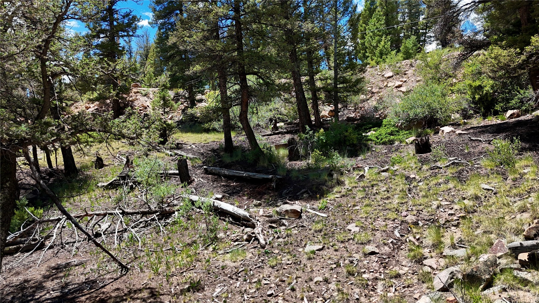 1348 Middle Fork Vista Property Photo 8