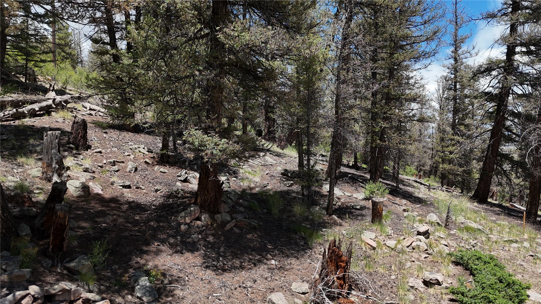 1348 Middle Fork Vista Property Photo 9