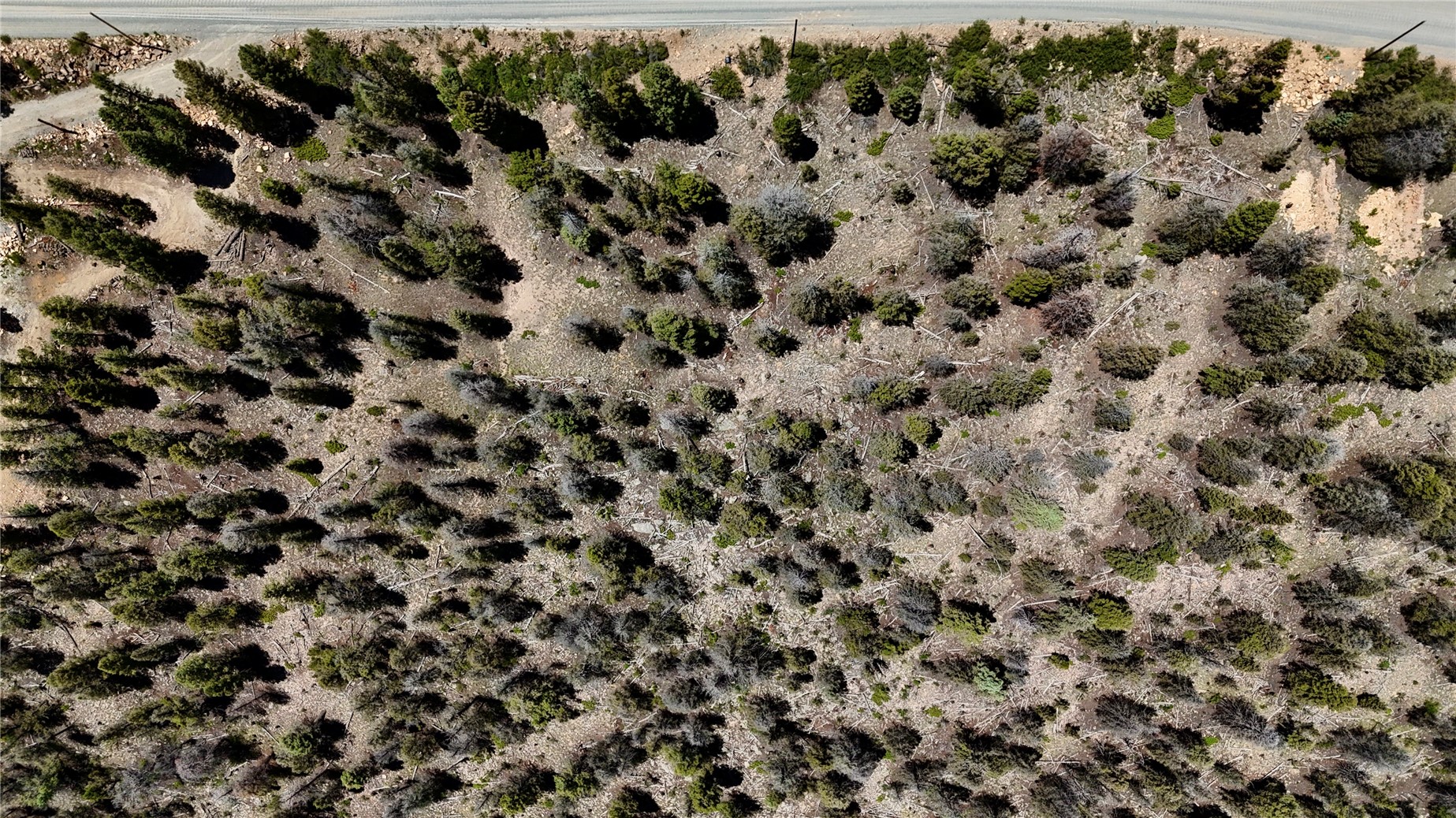 1348 Middle Fork Vista Property Photo 10