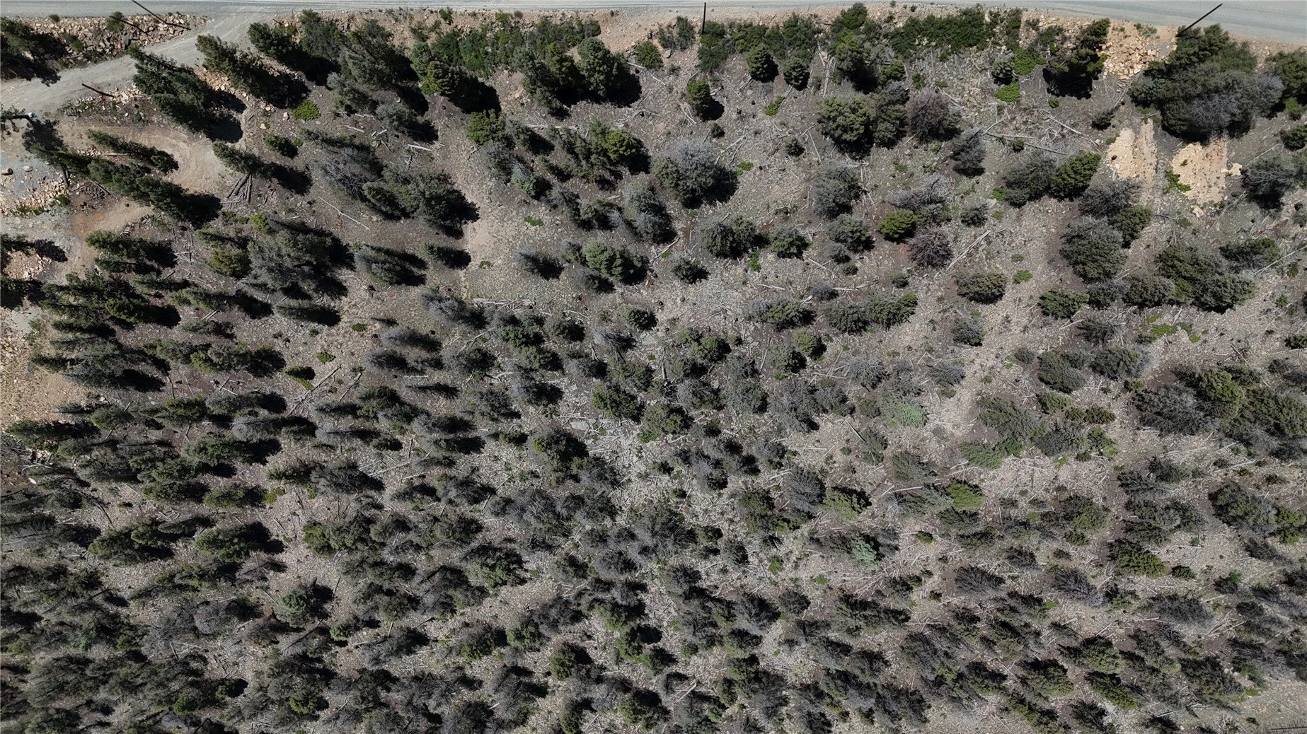 1348 Middle Fork Vista Property Photo 11