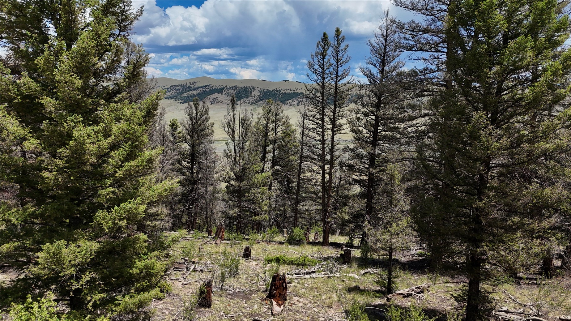 1348 Middle Fork Vista Property Photo 13