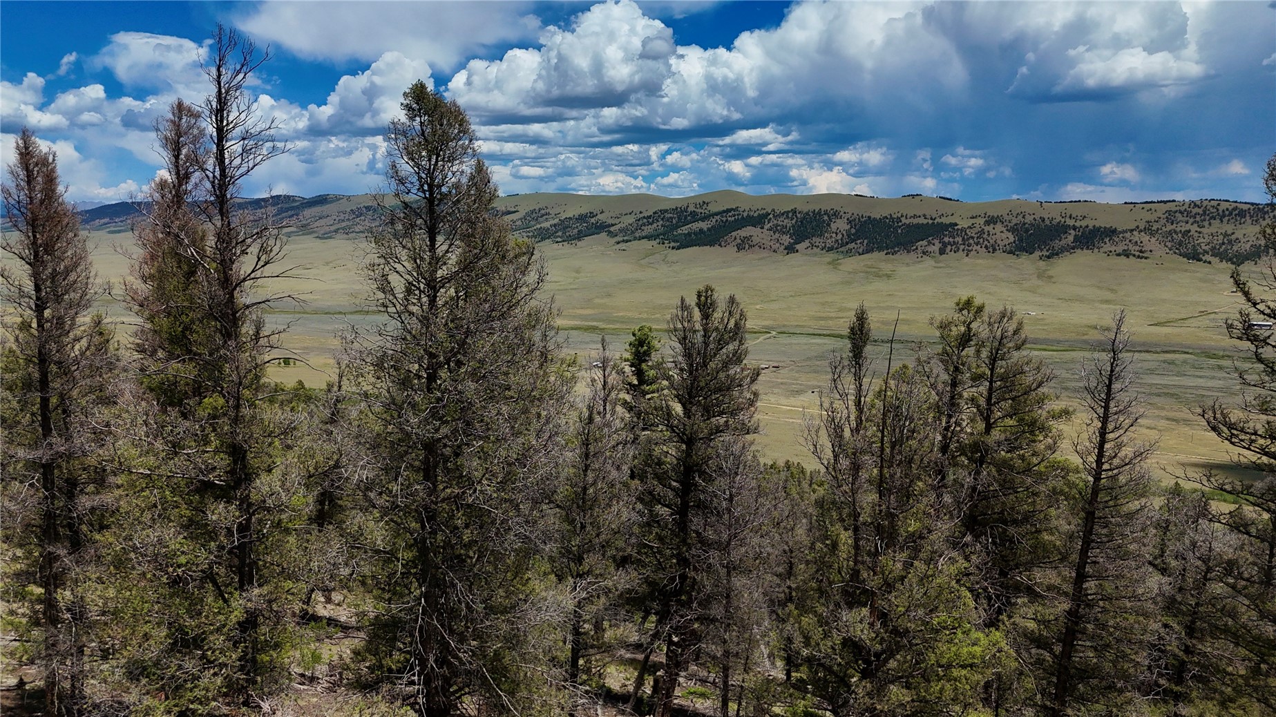 1348 Middle Fork Vista Property Photo 16
