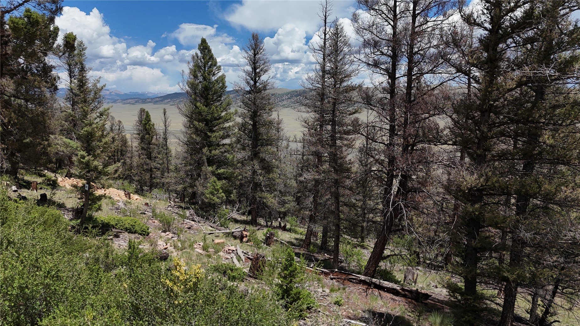 1348 Middle Fork Vista Property Photo 17