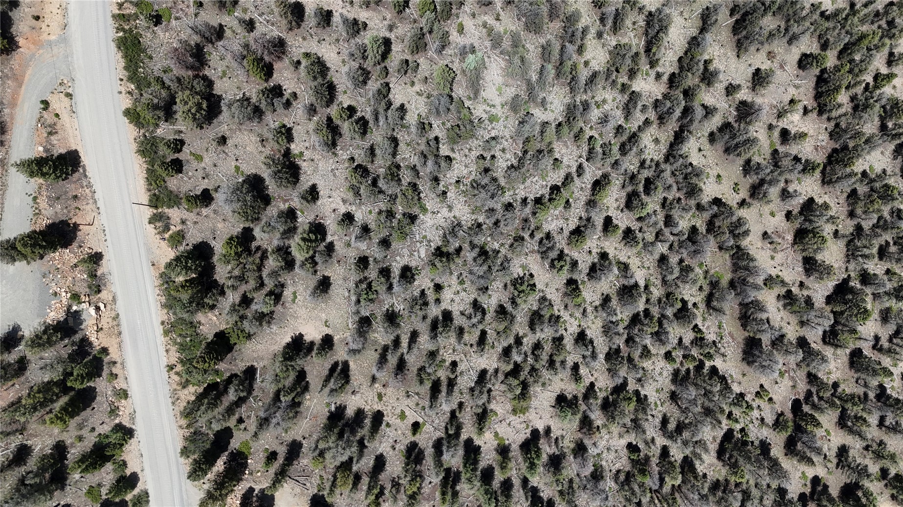 1348 Middle Fork Vista Property Photo 19