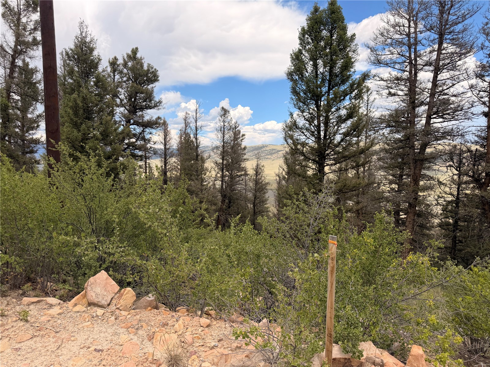 1348 Middle Fork Vista Property Photo 26