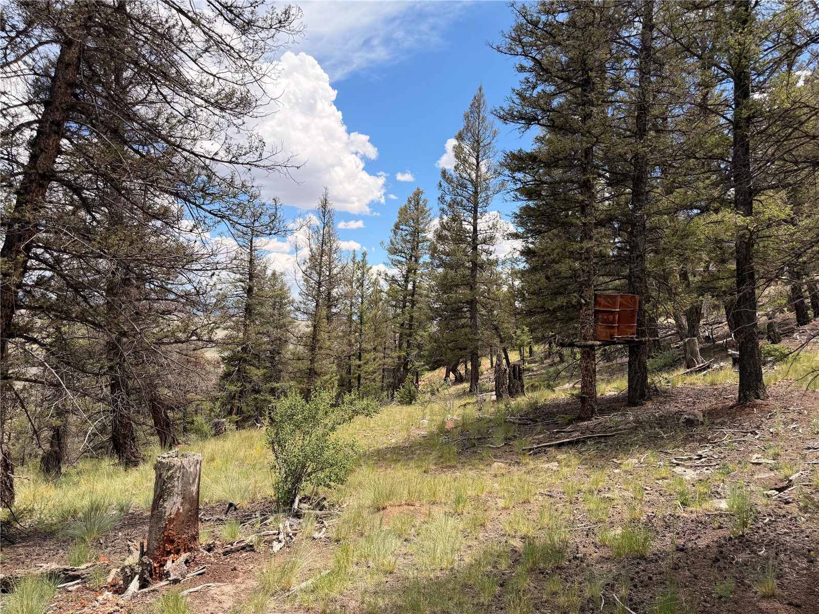 1348 Middle Fork Vista Property Photo 28