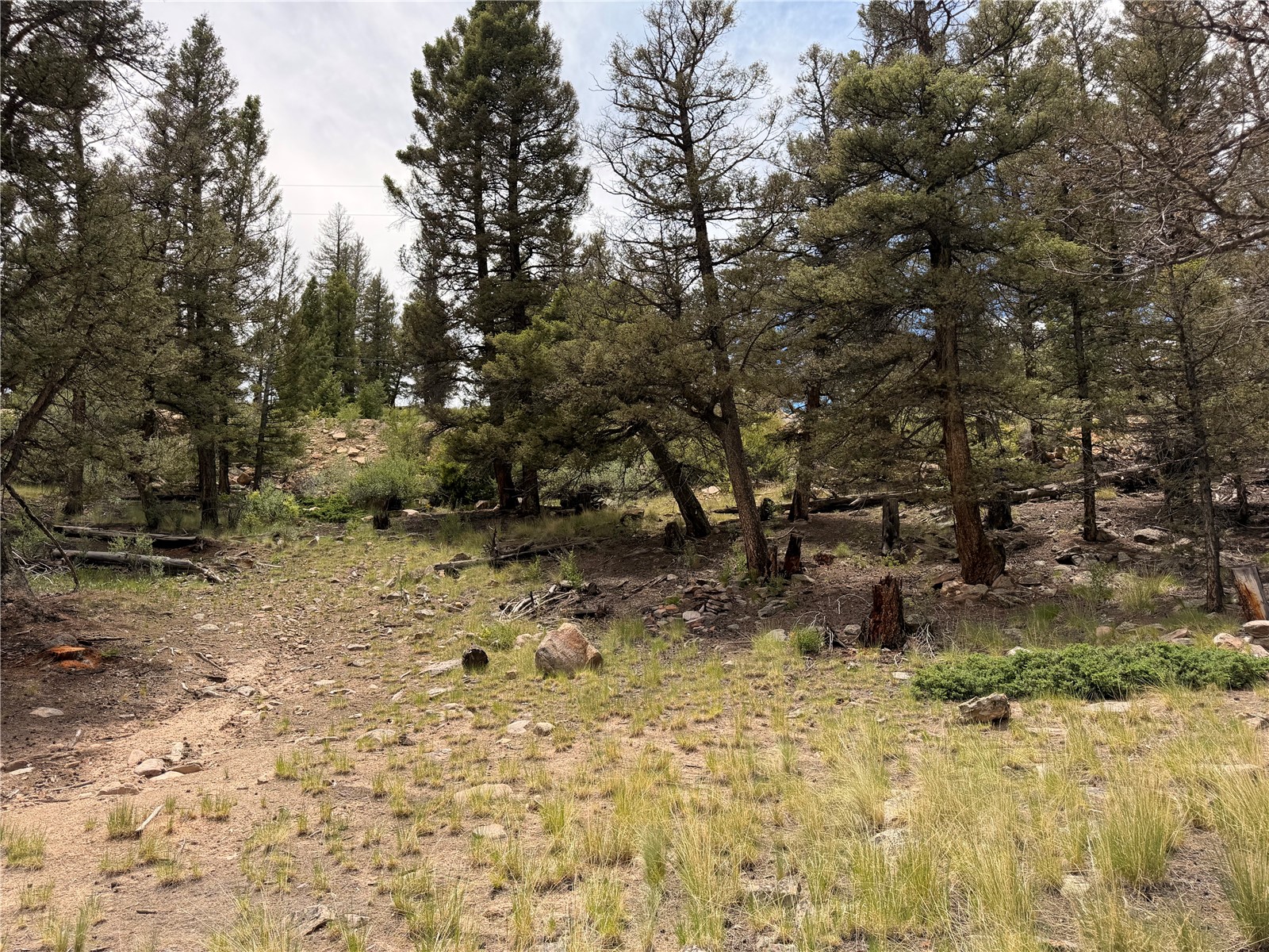 1348 Middle Fork Vista Property Photo 29