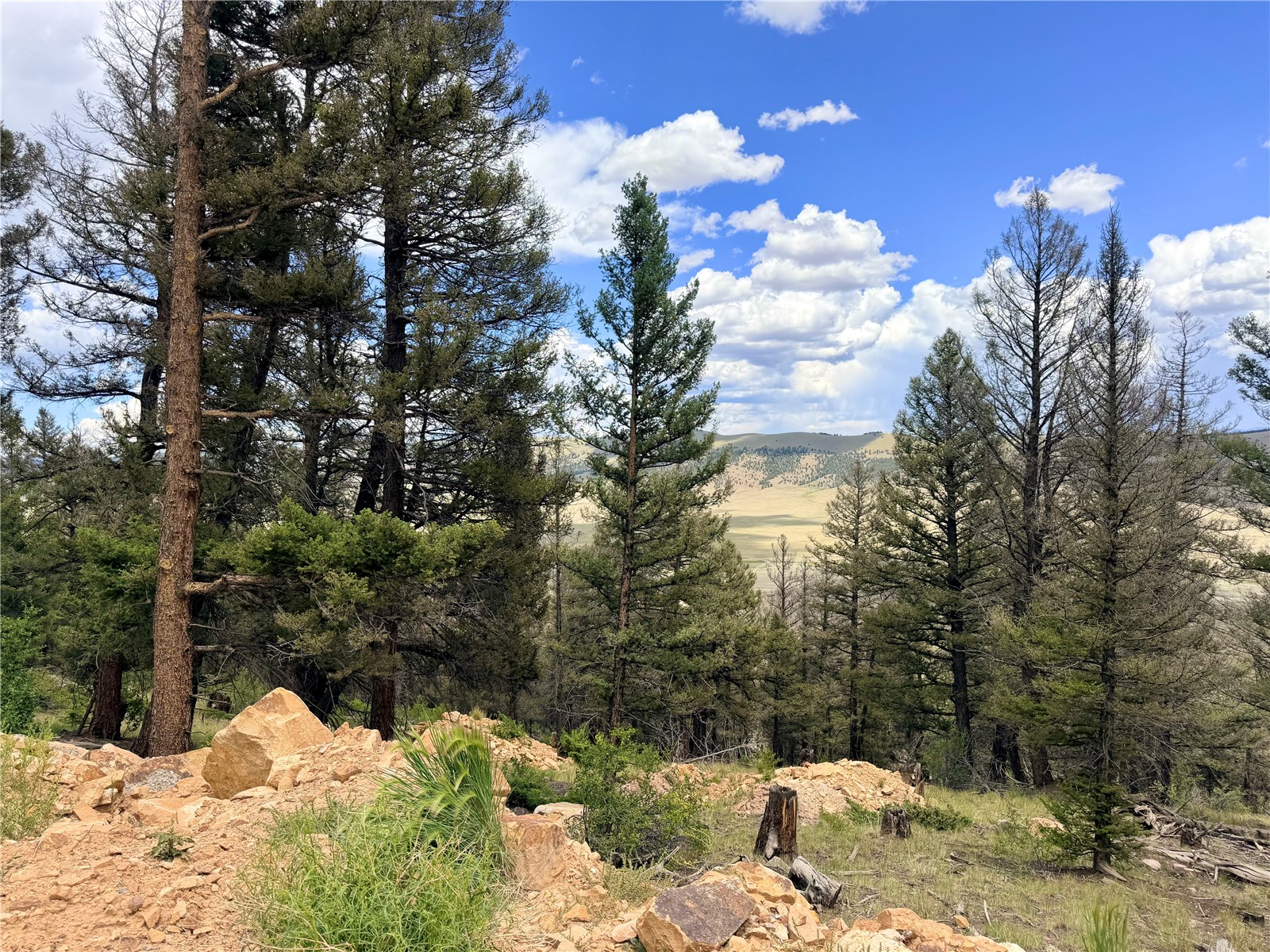 1396 Middle Fork Property Photo 1