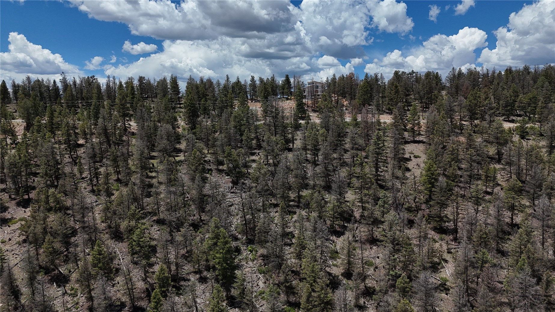 1396 Middle Fork Property Photo 5