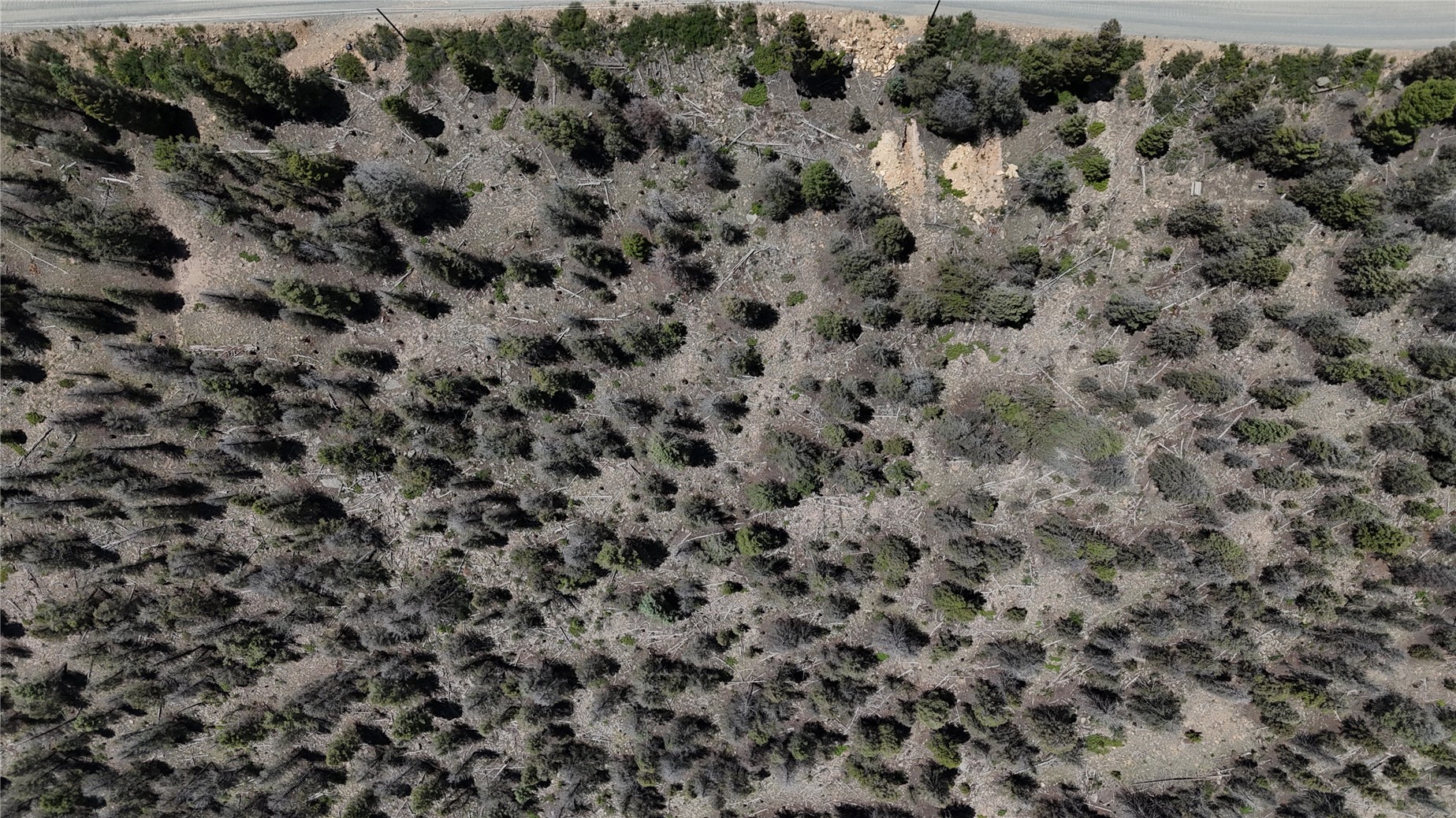 1396 Middle Fork Property Photo 6