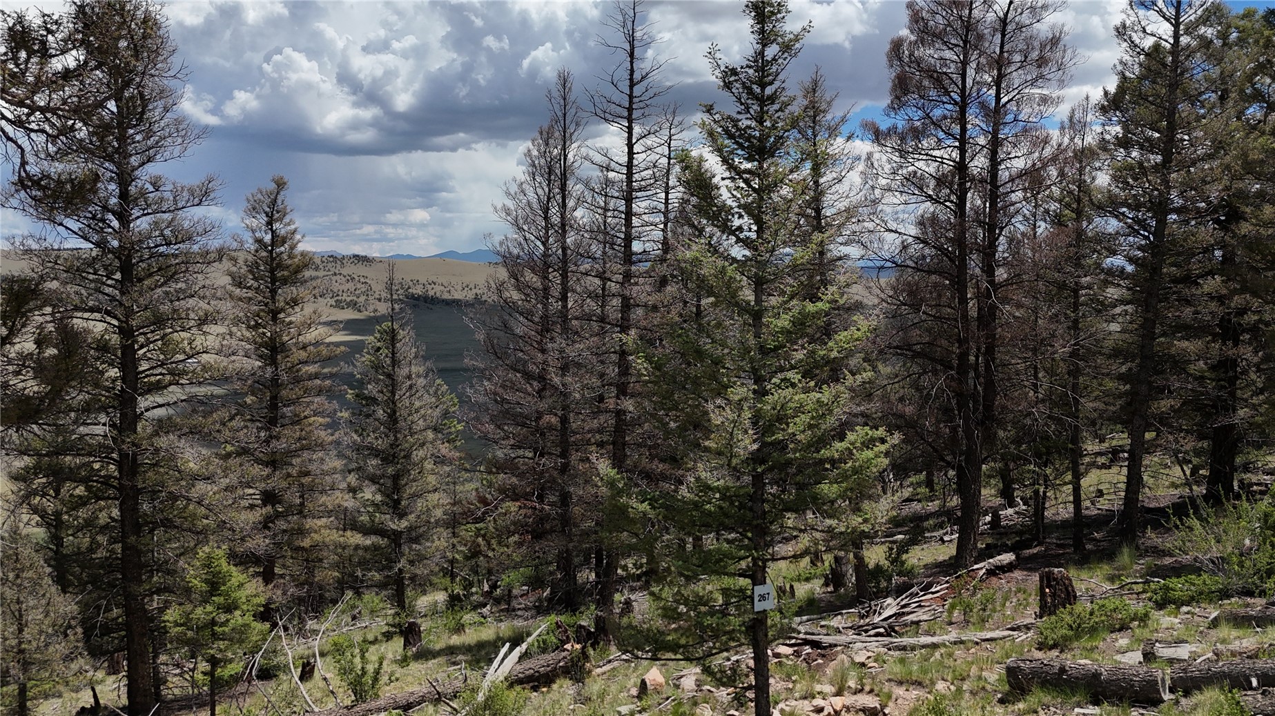 1396 Middle Fork Property Photo 10