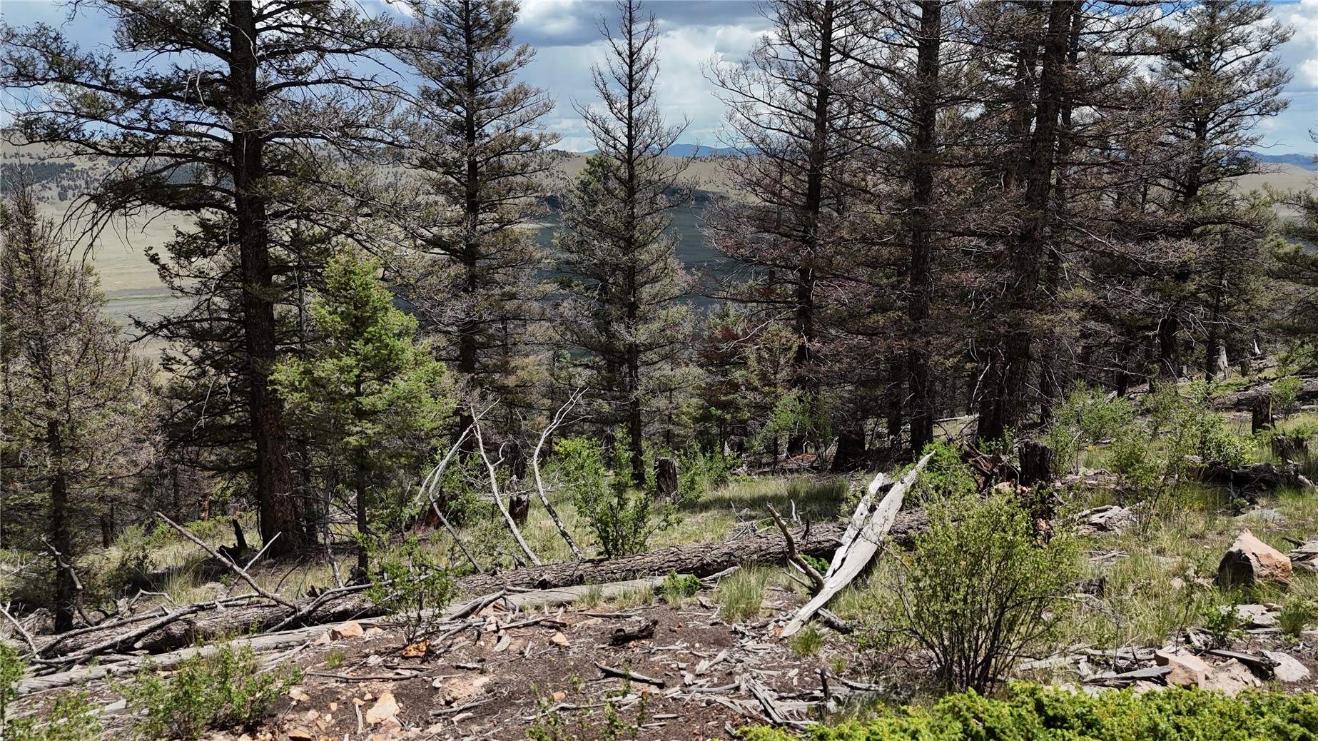 1396 Middle Fork Property Photo 11