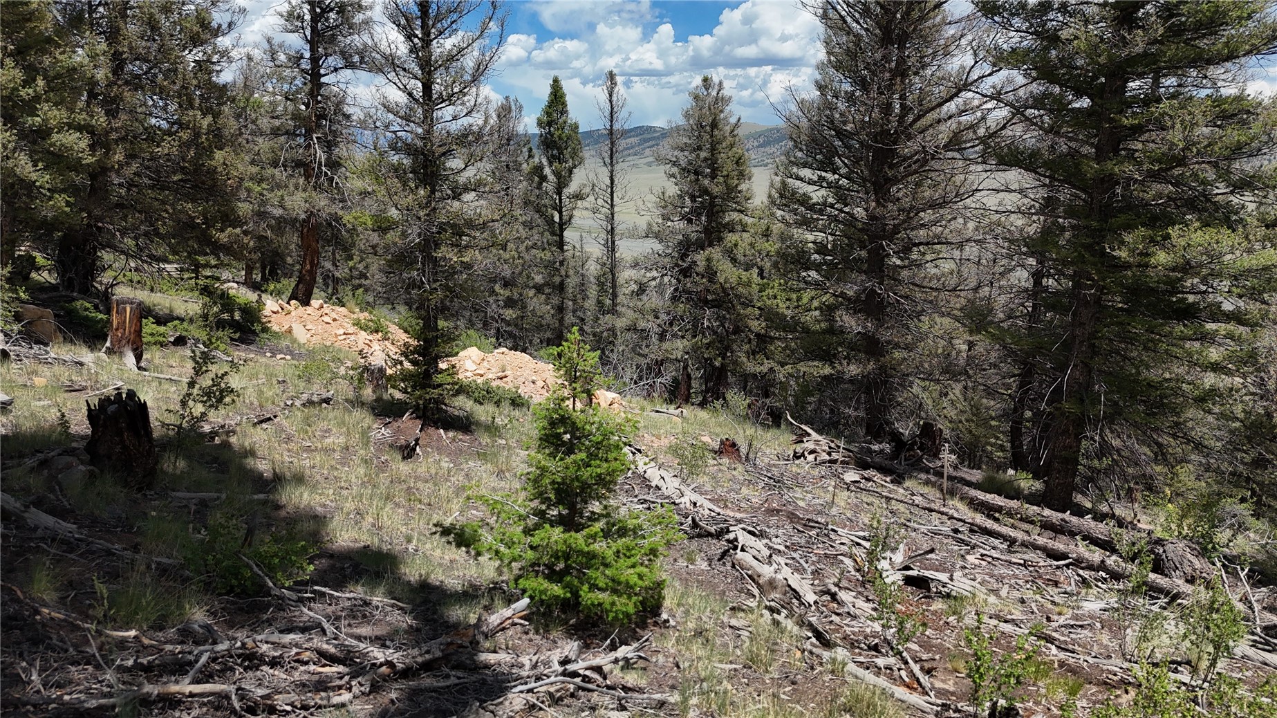 1396 Middle Fork Property Photo 12