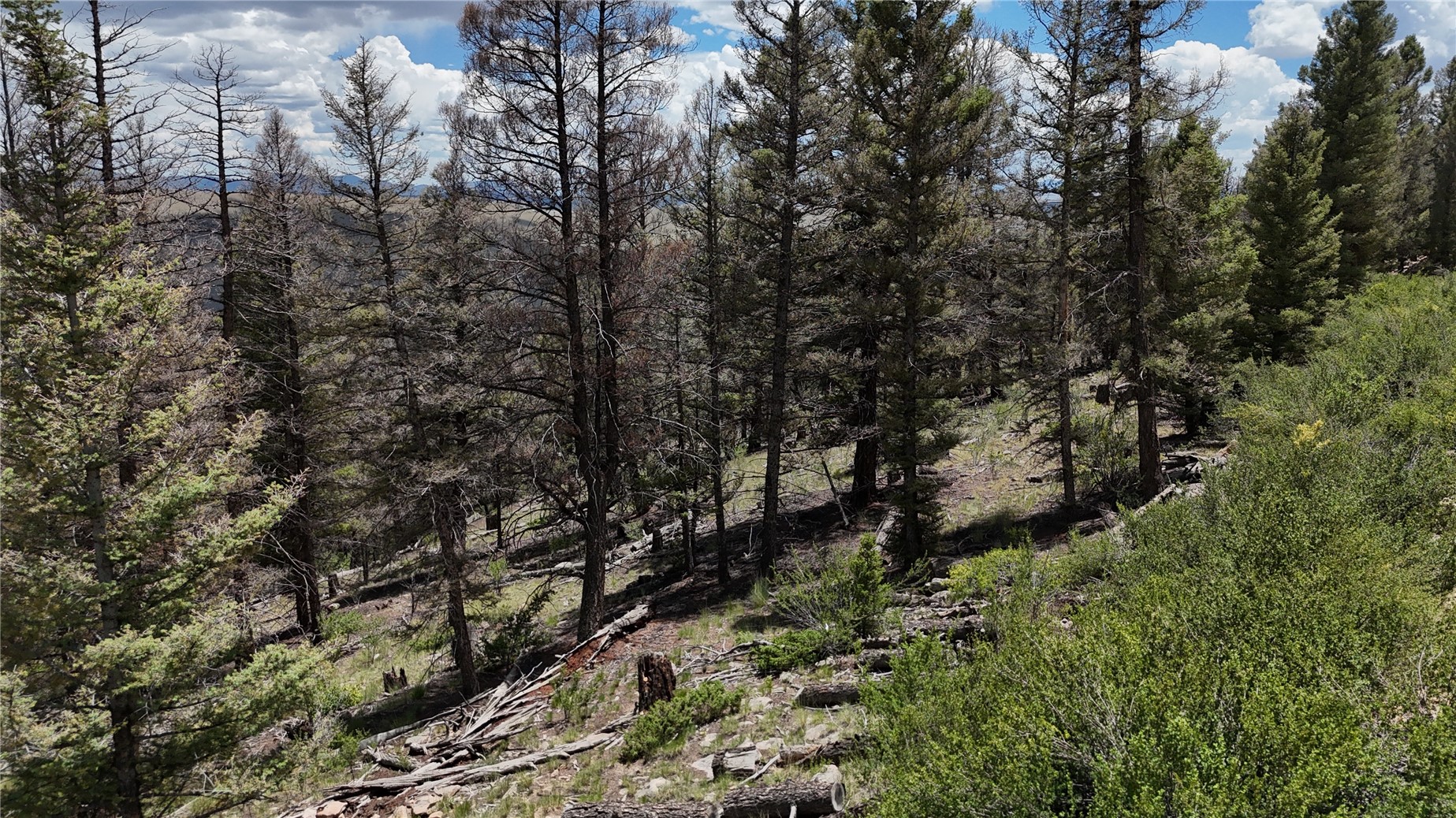 1396 Middle Fork Property Photo 13