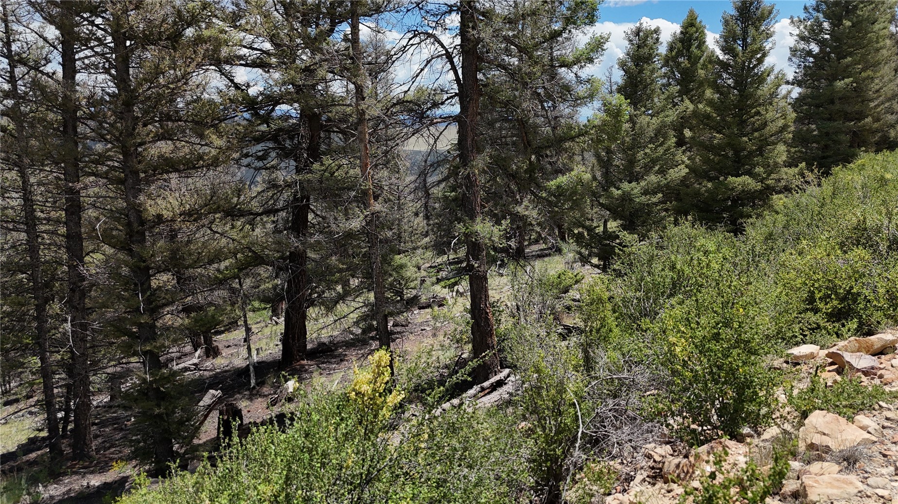 1396 Middle Fork Property Photo 14