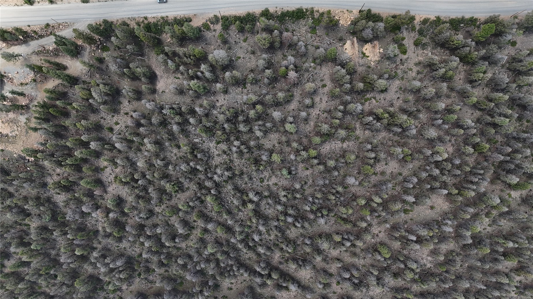 1396 Middle Fork Property Photo 15