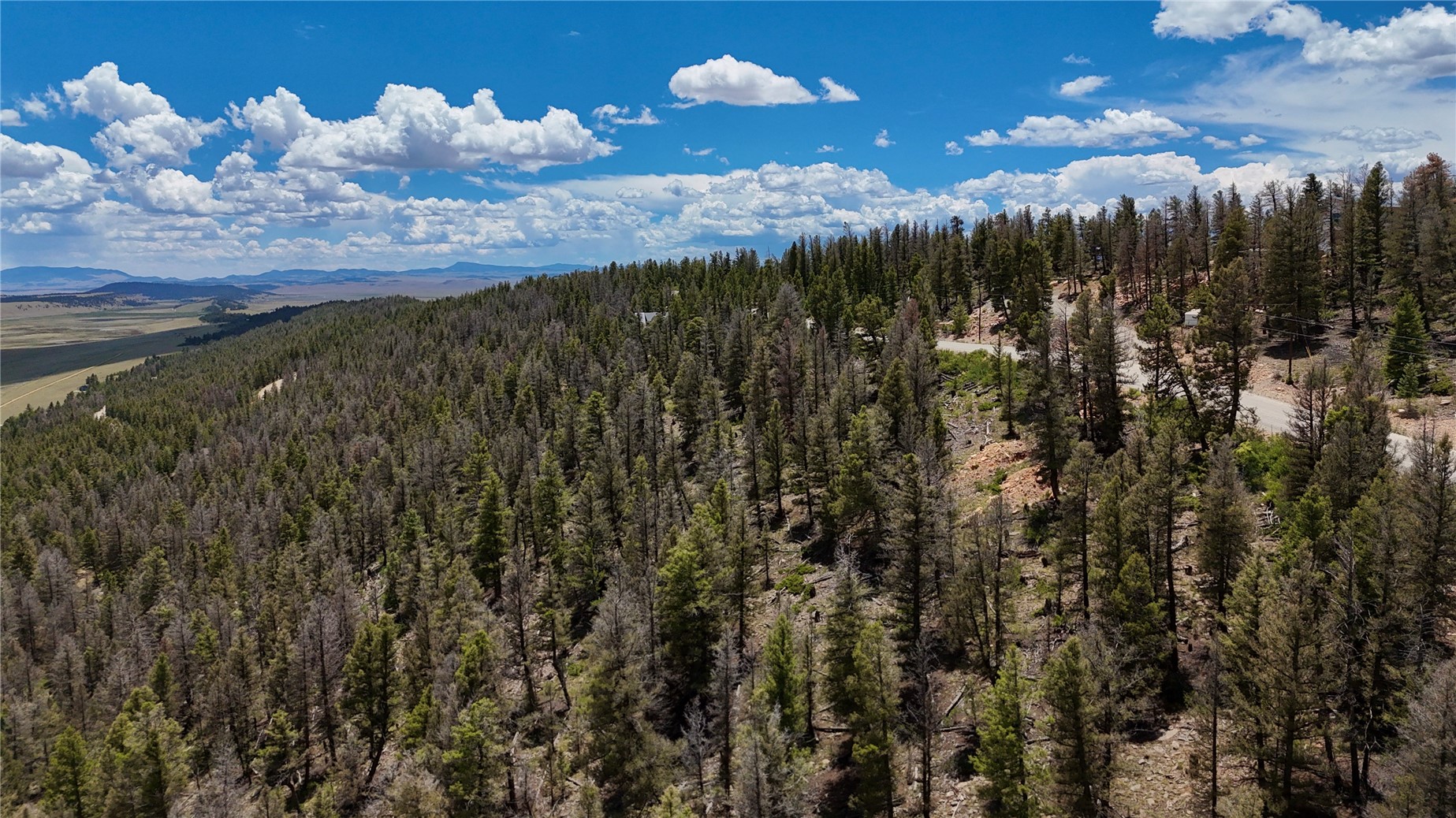 1396 Middle Fork Property Photo 21