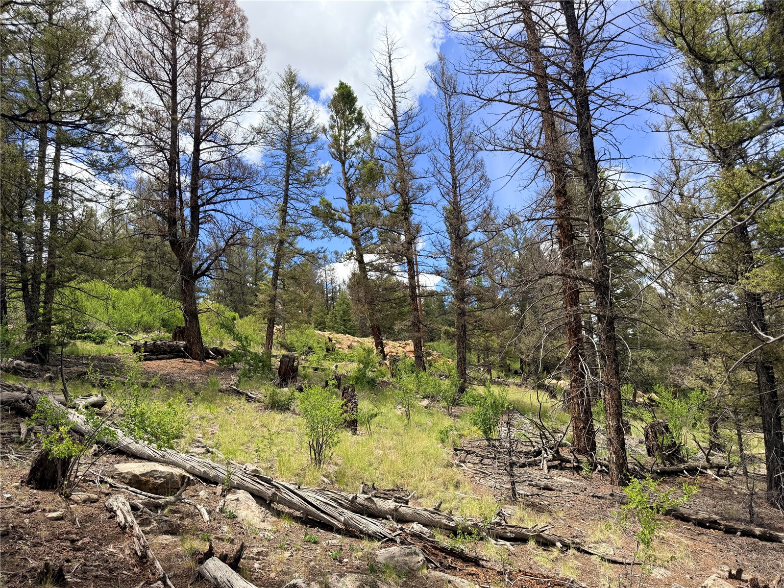 1396 Middle Fork Property Photo 24