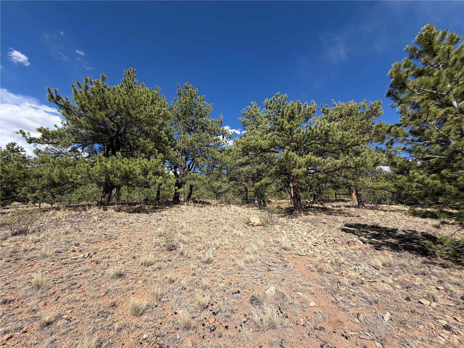 830 Cohonina Road Property Photo 8