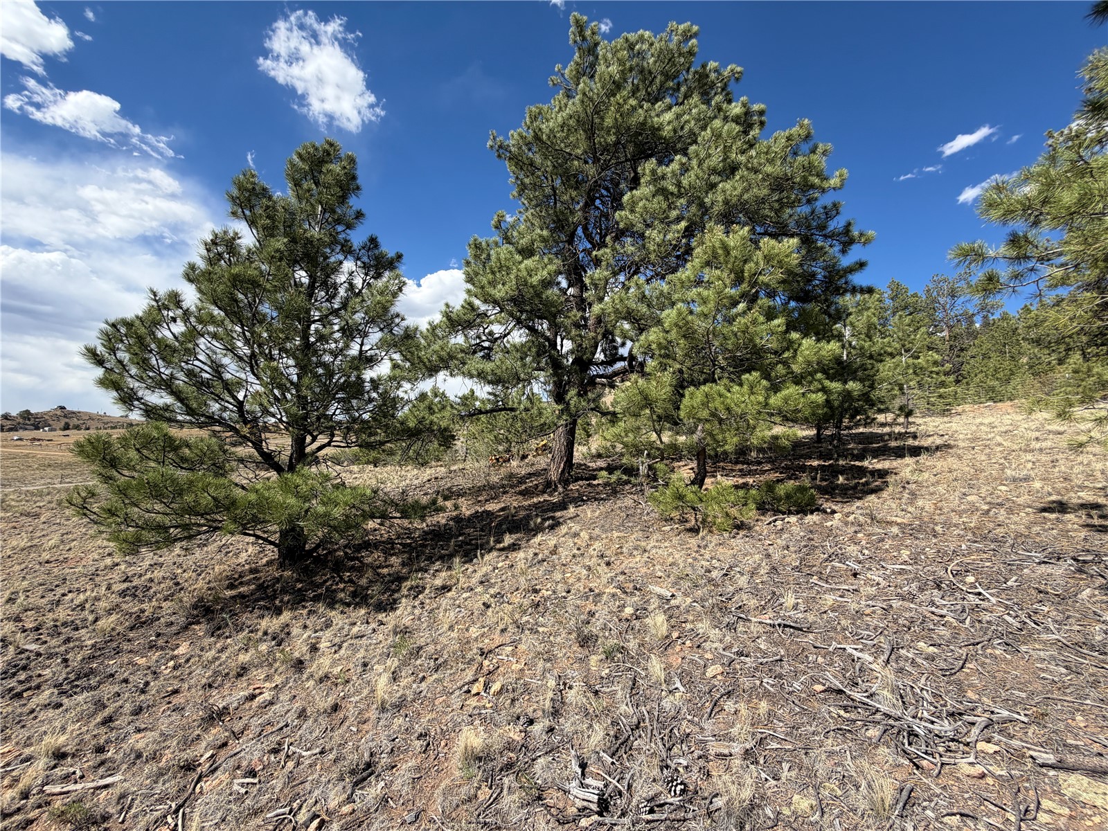 830 Cohonina Road Property Photo 11