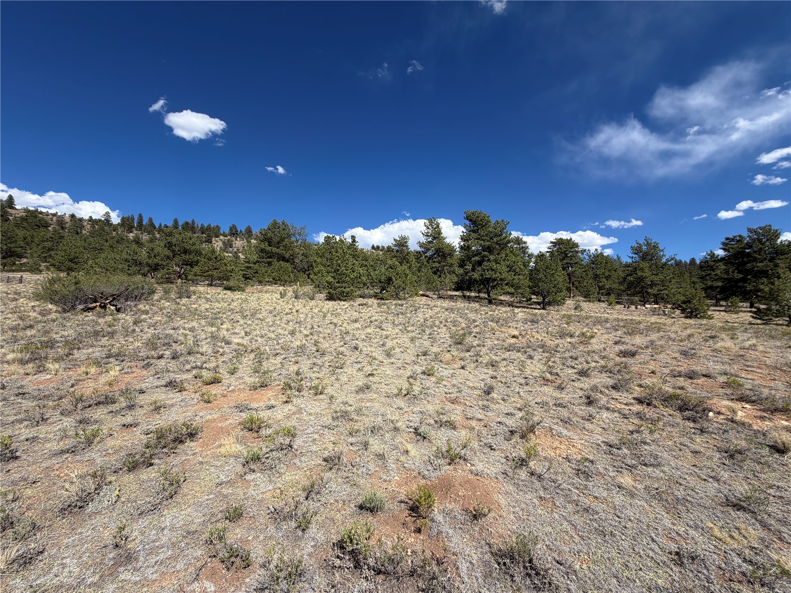 830 Cohonina Road Property Photo 15