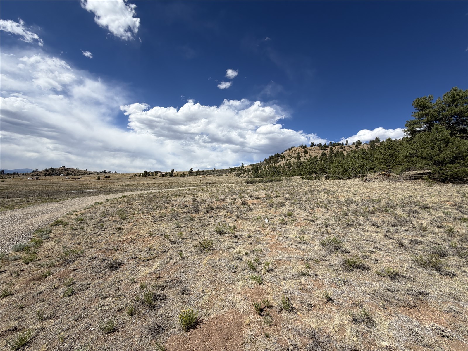 830 Cohonina Road Property Photo 18