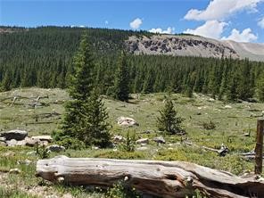 86 Timberline Trail Property Photo 4