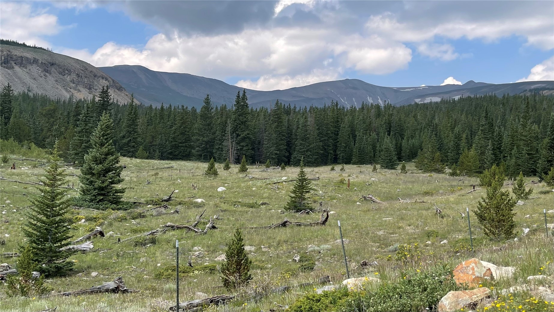 86 Timberline Trail Property Photo 4