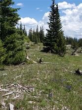86 Timberline Trail Property Photo 6
