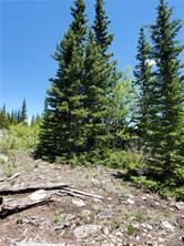 86 Timberline Trail Property Photo 8