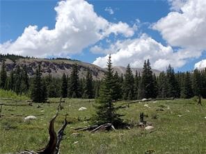 86 Timberline Trail Property Photo 9