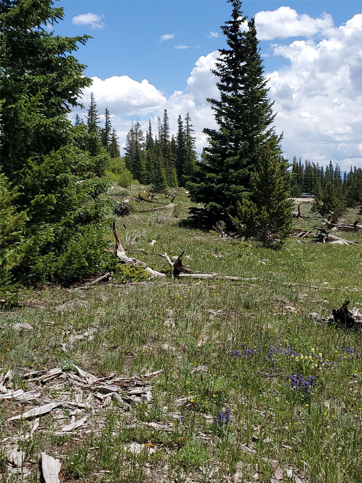 86 Timberline Trail Property Photo 9