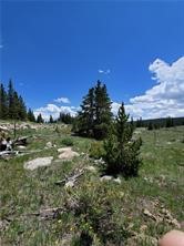 86 Timberline Trail Property Photo 10