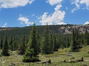 86 Timberline Trail Property Photo 11