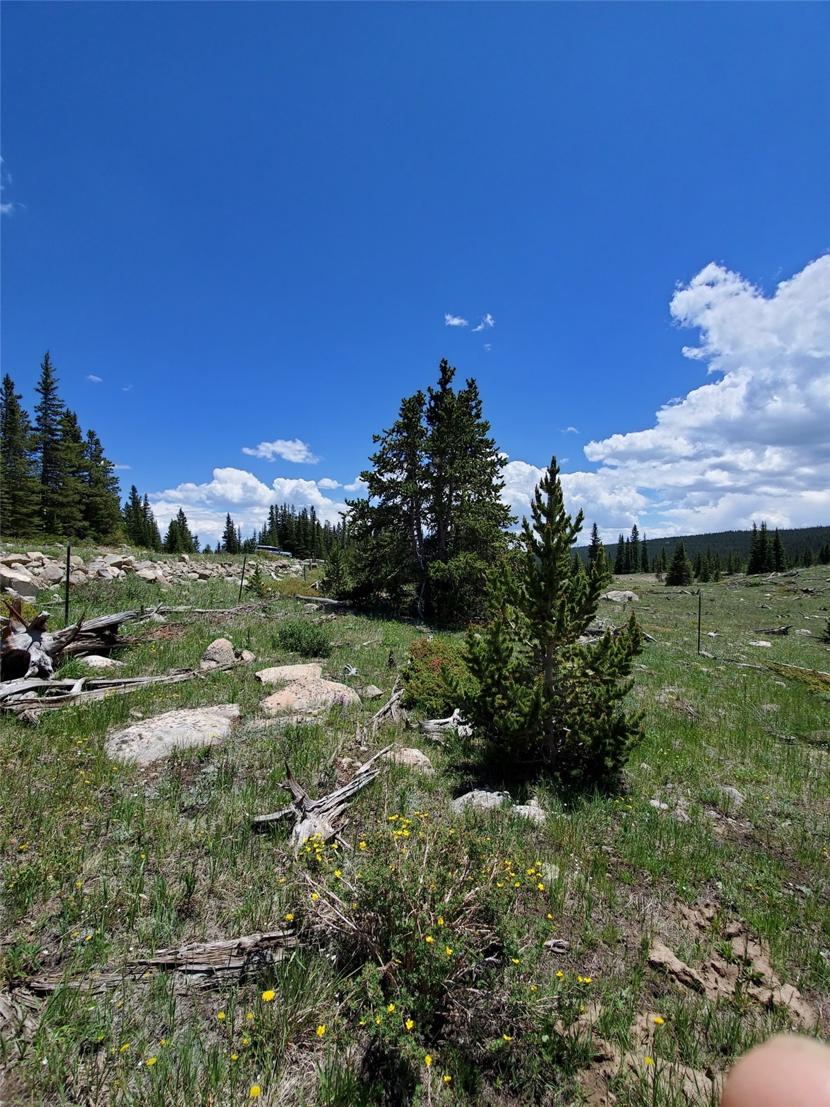 86 Timberline Trail Property Photo 13