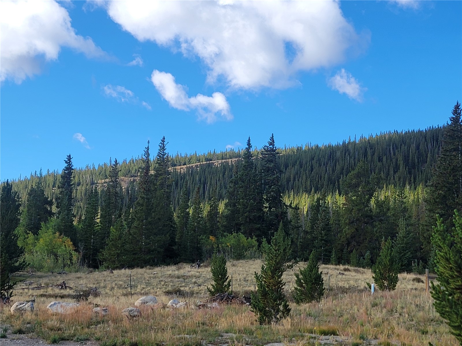 86 Timberline Trail Property Photo 18