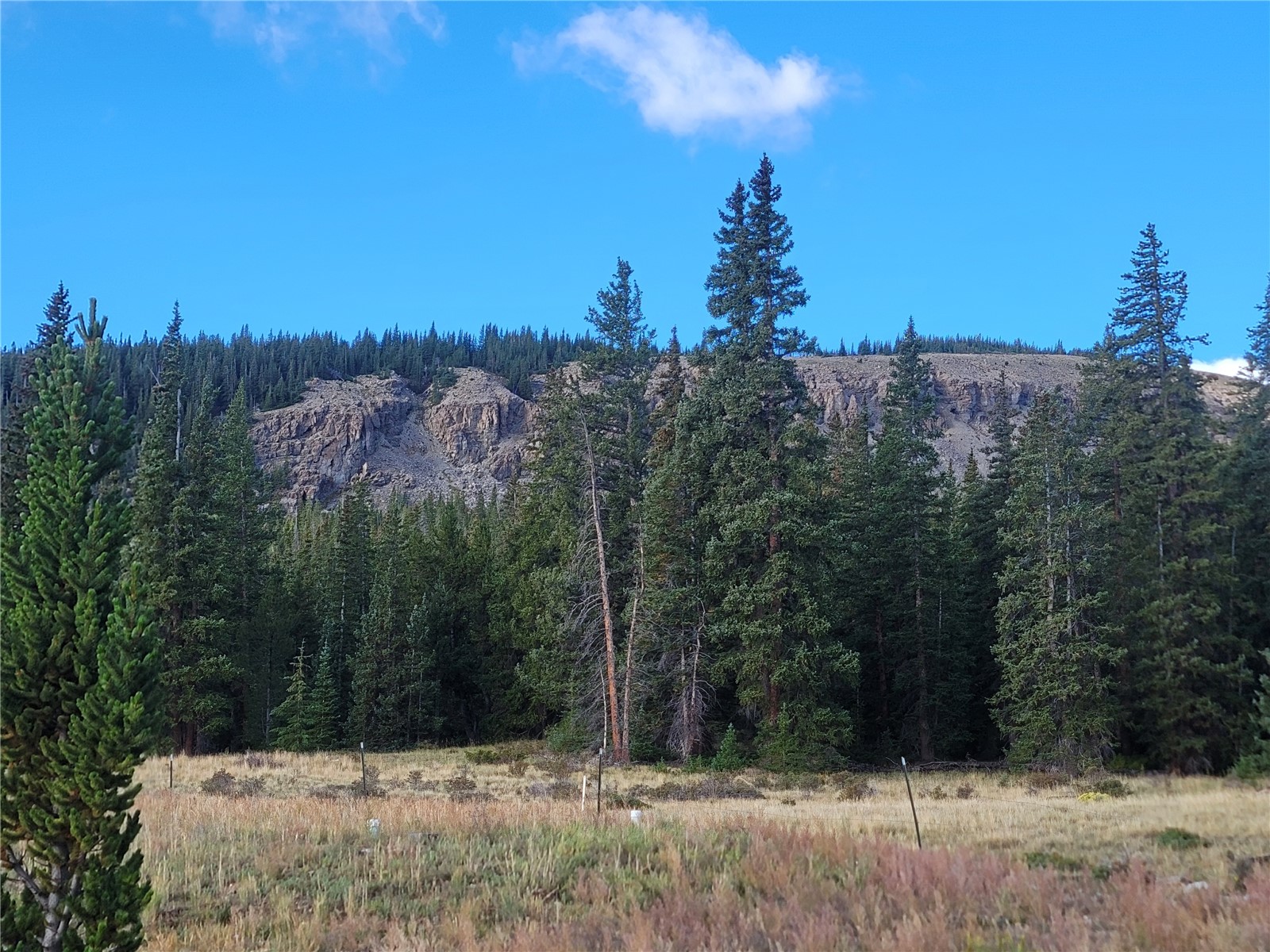 86 Timberline Trail Property Photo 19