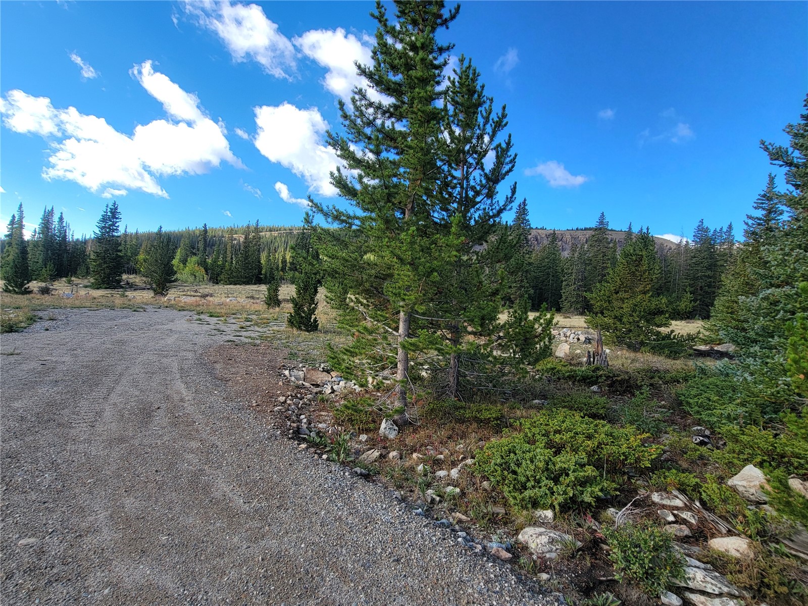 86 Timberline Trail Property Photo 20