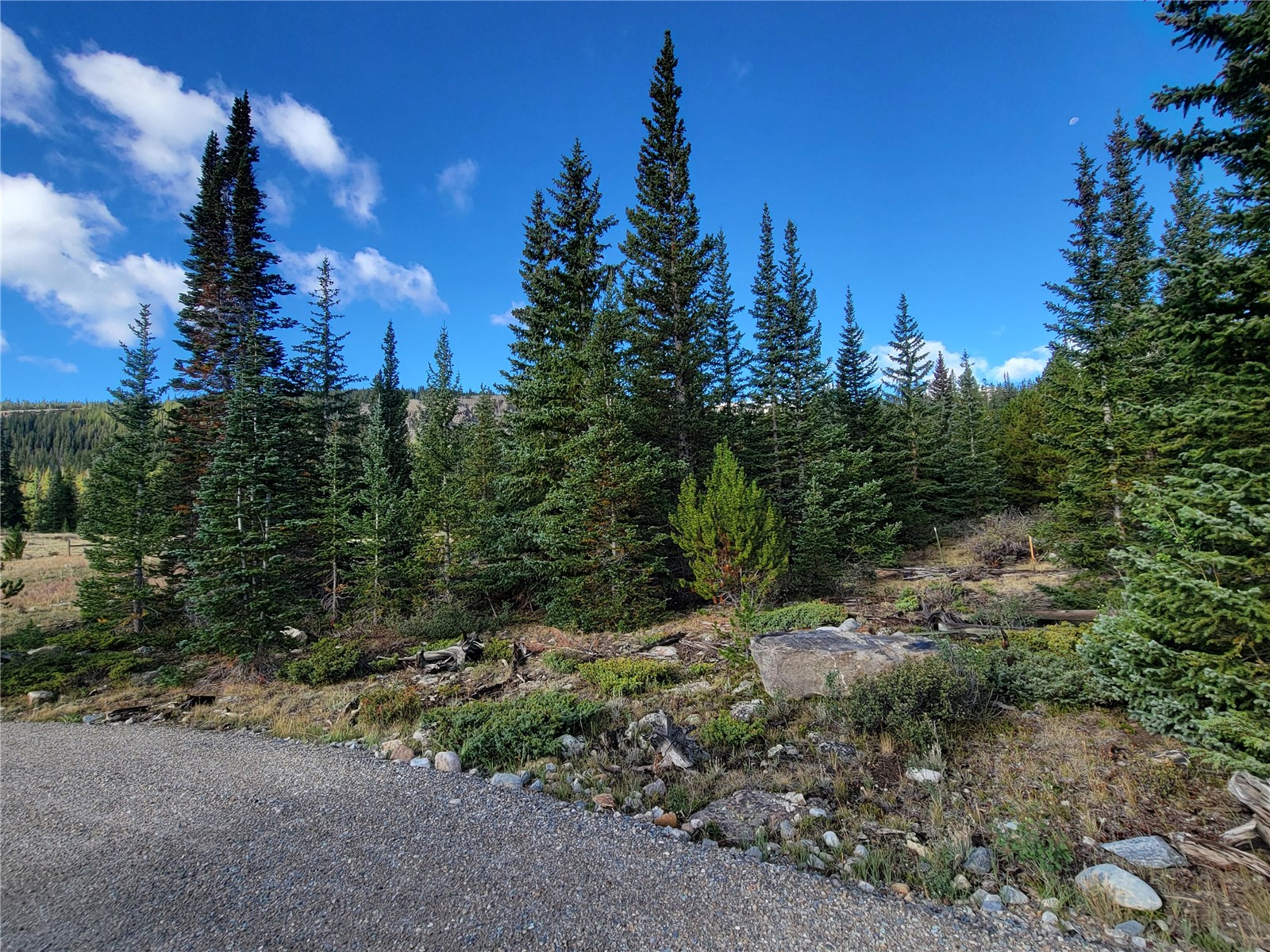 86 Timberline Trail Property Photo 22