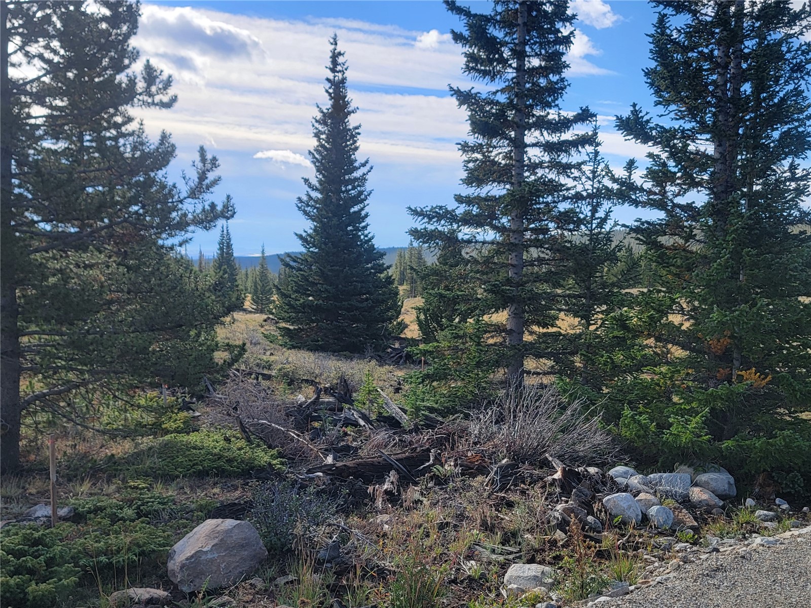 86 Timberline Trail Property Photo 24