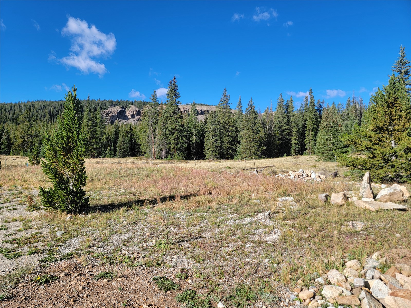 86 Timberline Trail Property Photo 28