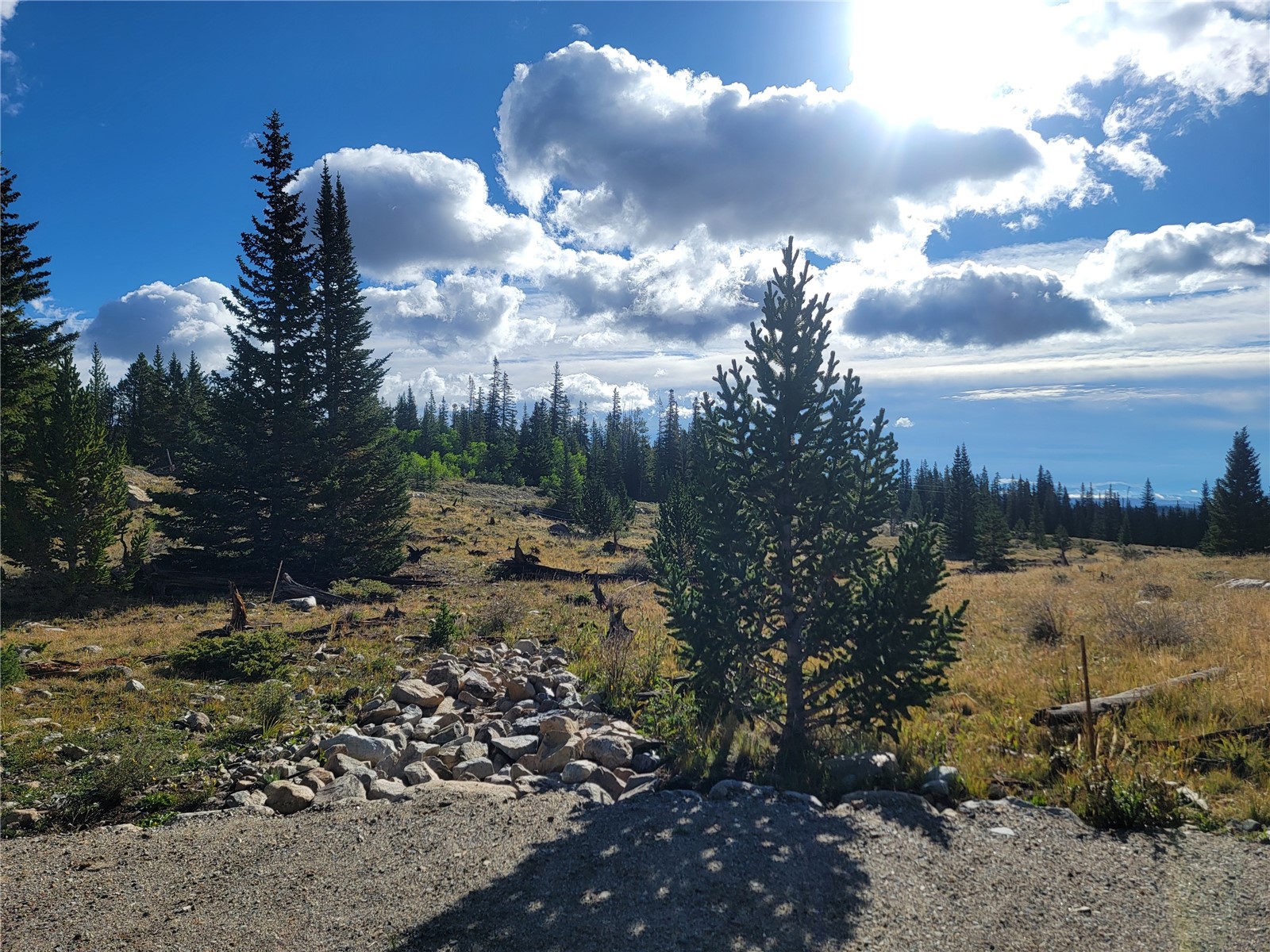 86 Timberline Trail Property Photo 29