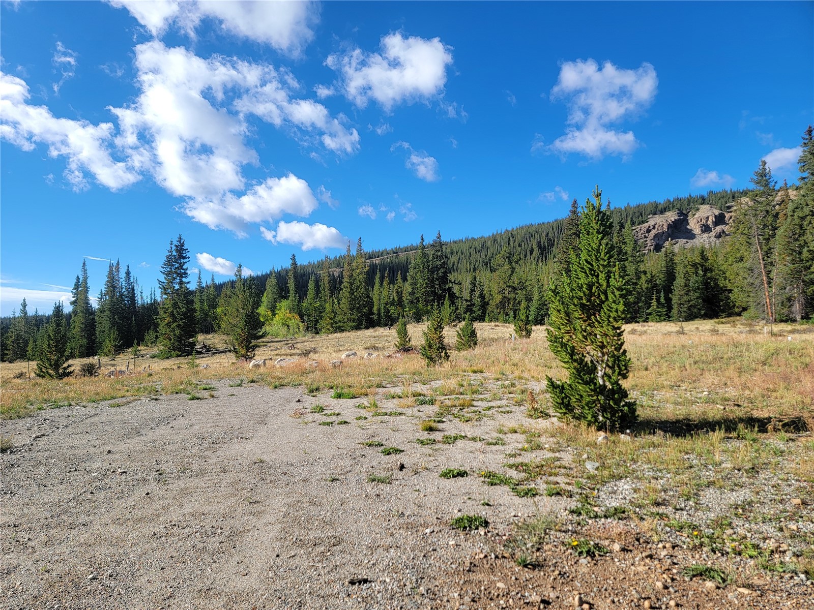 86 Timberline Trail Property Photo 31