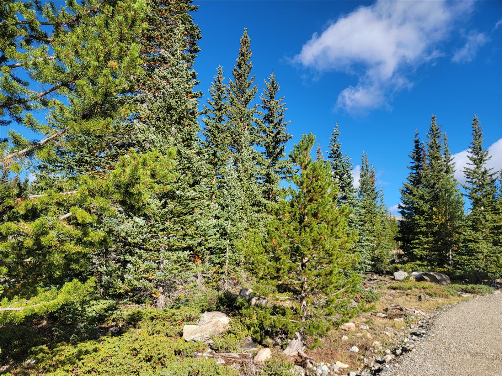 86 Timberline Trail Property Photo 33
