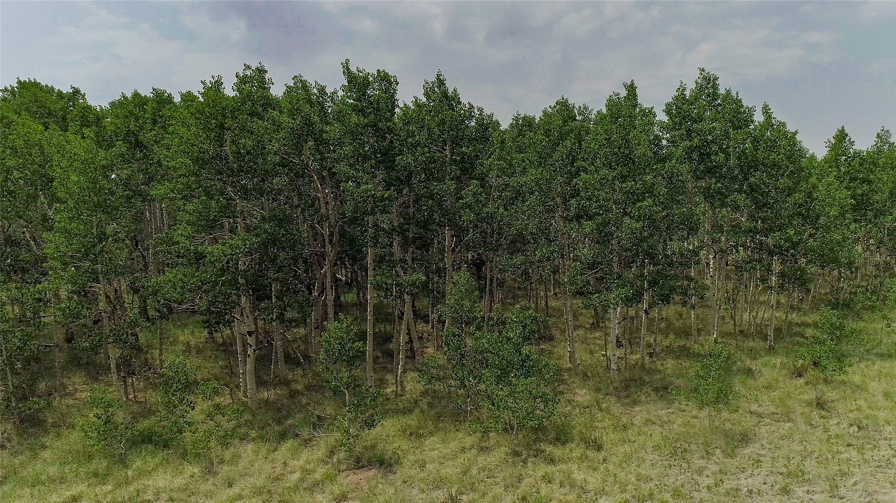 653 Vine Road Property Photo 49
