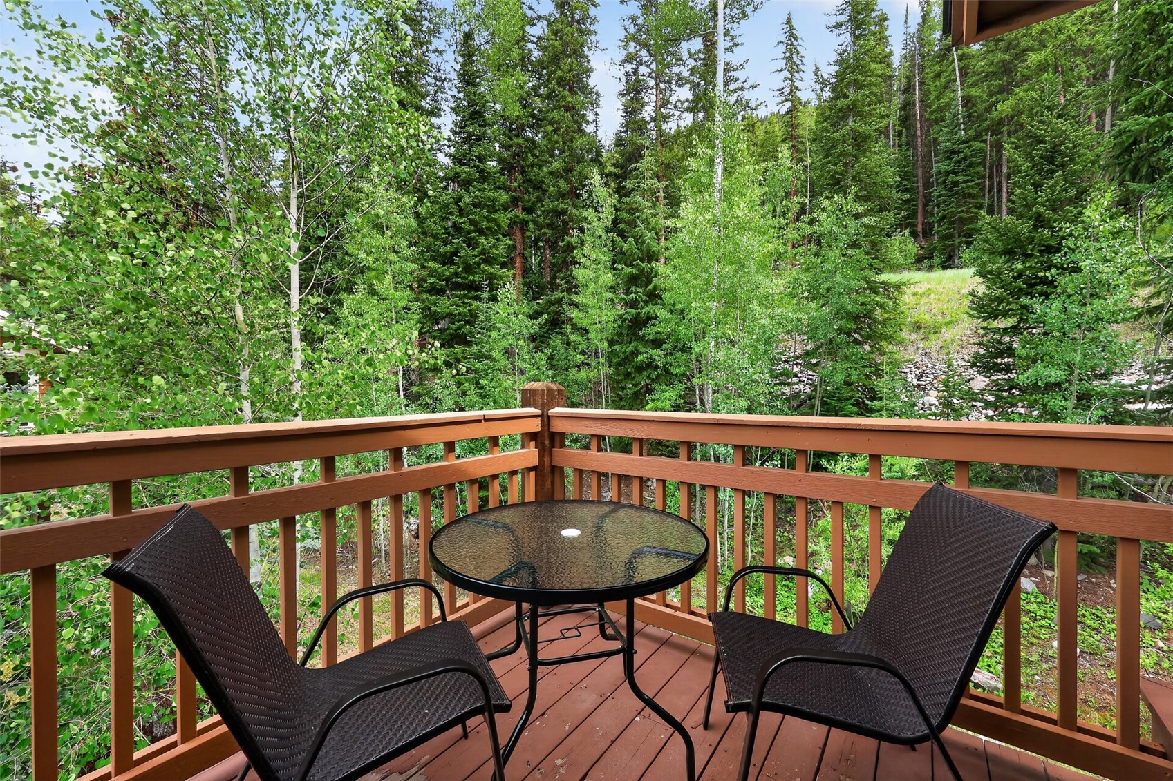 89 Tip Top Trail 6533 Property Photo 21